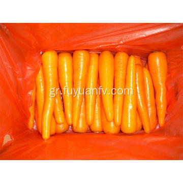 Νόστιμα φρέσκα καρότα 2019